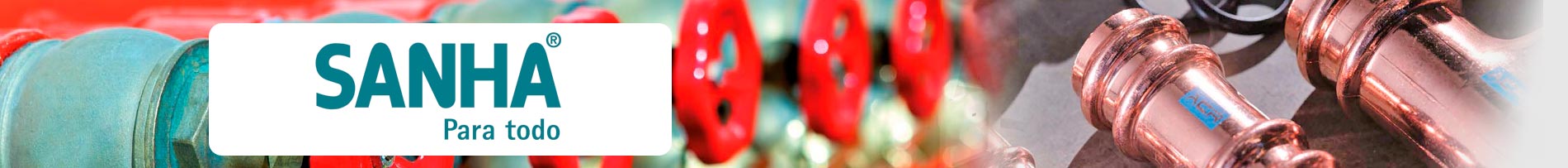 cabeceraSANHA
